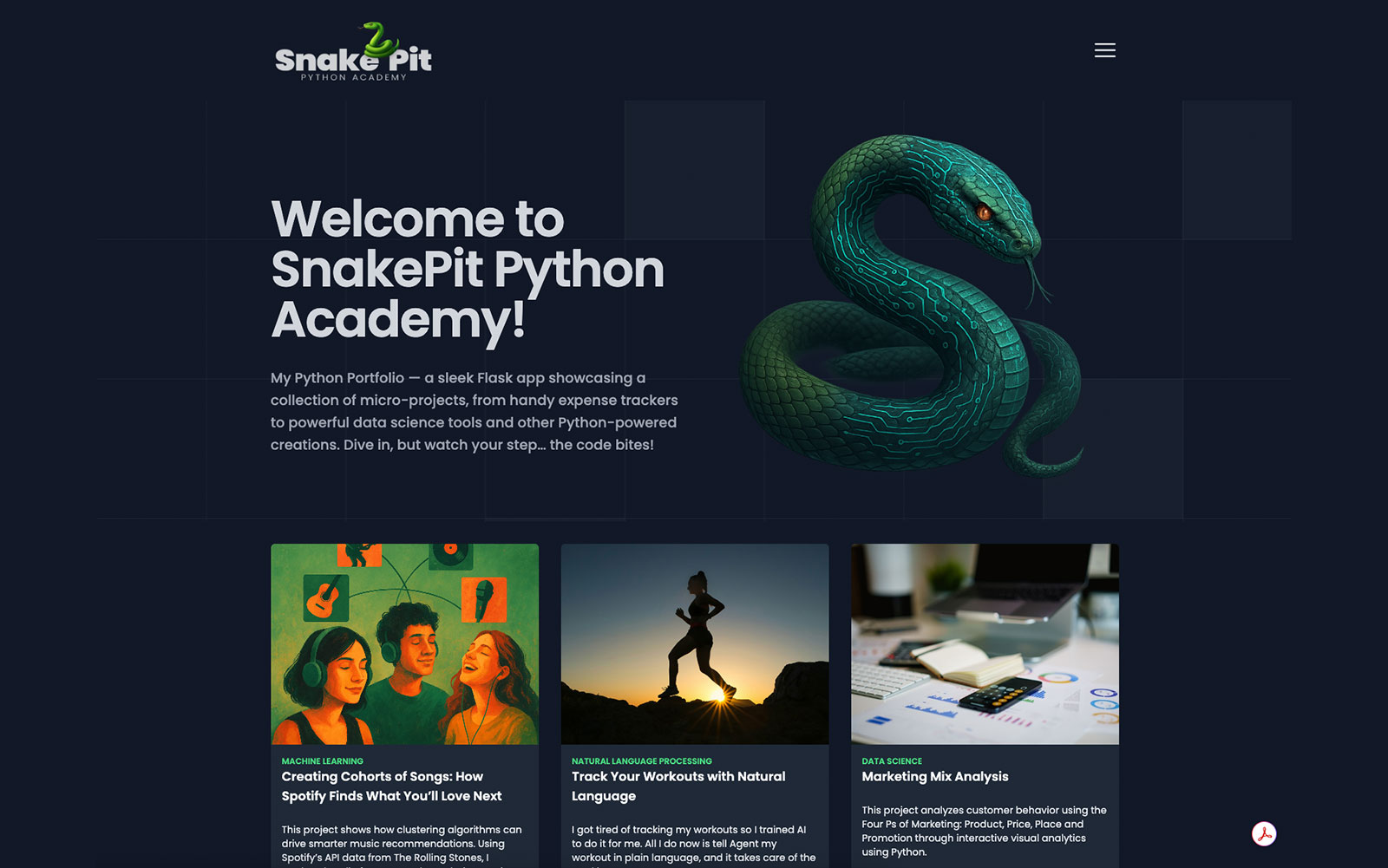 Website concept for a Python training academy